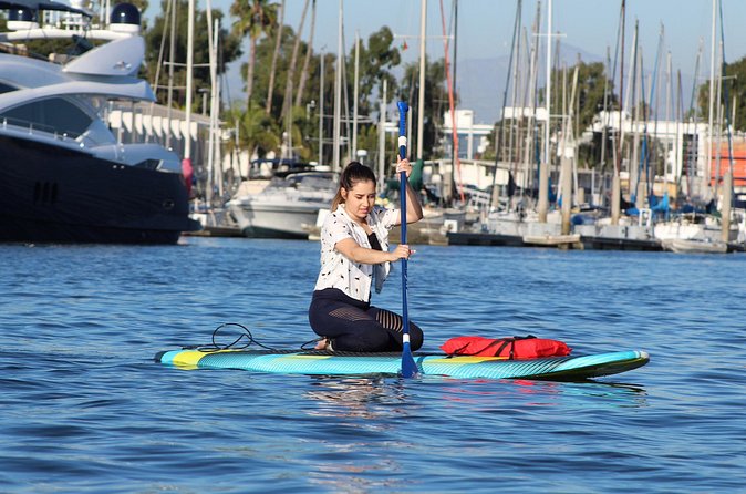 2-Hour Kayak or Paddleboard with Sea Lions in Marina del Rey - SUP vs kayak: choosing the right gear for your comfort