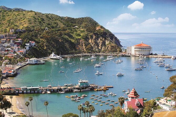 Catalina Express: Avalon to San Pedro One-Way Ferry - Parking and getting to the terminal: don’t get surprised by extra costs
