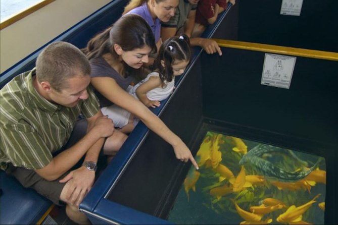 Glass Bottom Boat: Catalina Island Tour - Key Things to Know Before You Go