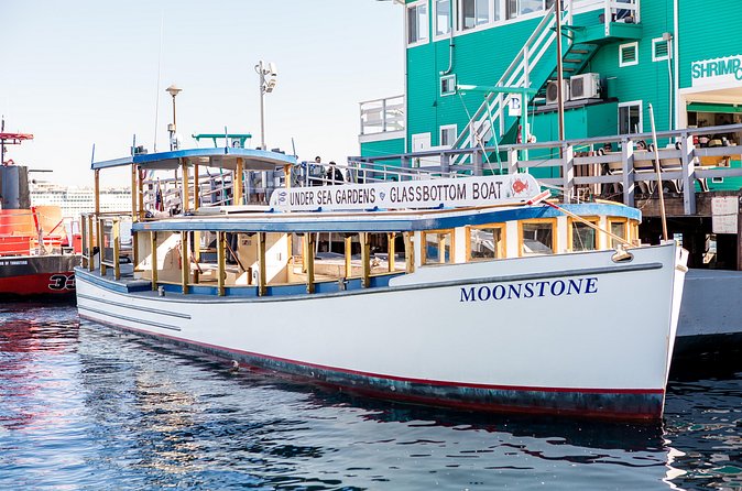 Glass Bottom Boat: Catalina Island Tour - Captains, Jokes, and Fish-Feeding Moments
