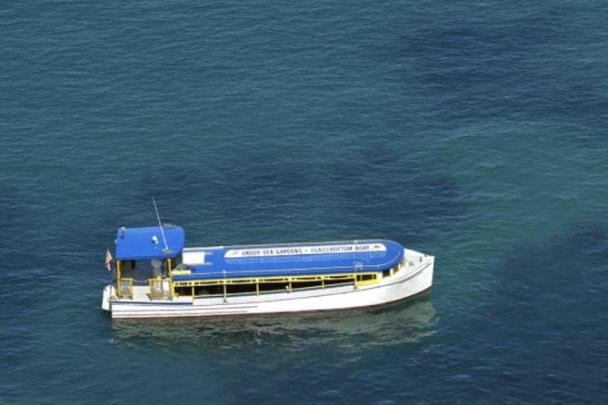 Glass Bottom Boat: Catalina Island Tour - Weather, Waves, and Comfort: Planning Like a Local