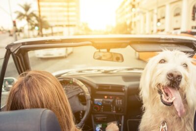 Hollywood Fame & Celebrity Homes Self-Guided Audio Bundle Tour - Price and time: does $16.99 per car make sense in LA?