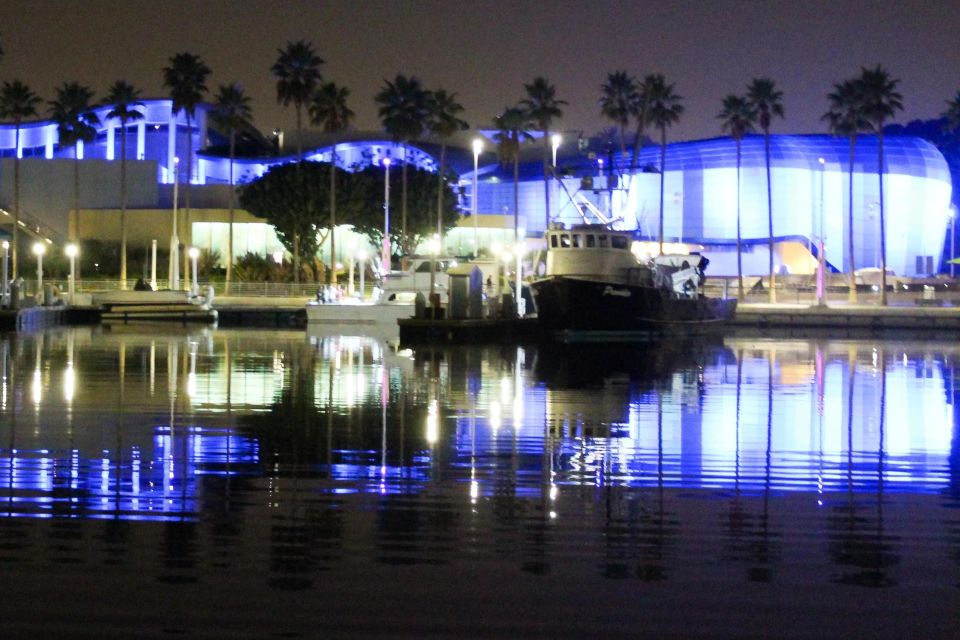 Long Beach: Private Night Yacht Cruise With City Lights - Marine Life Viewing: Sea Lions and Other Surprises