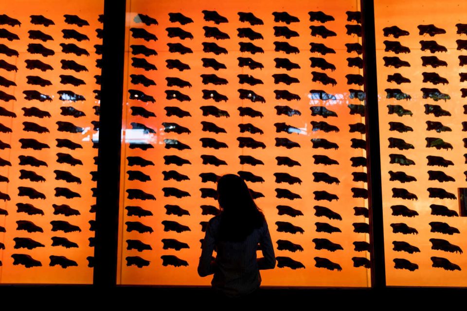 Los Angeles: La Brea Tar Pits Museum Ticket - The museum layout: how to move through it without missing the best parts