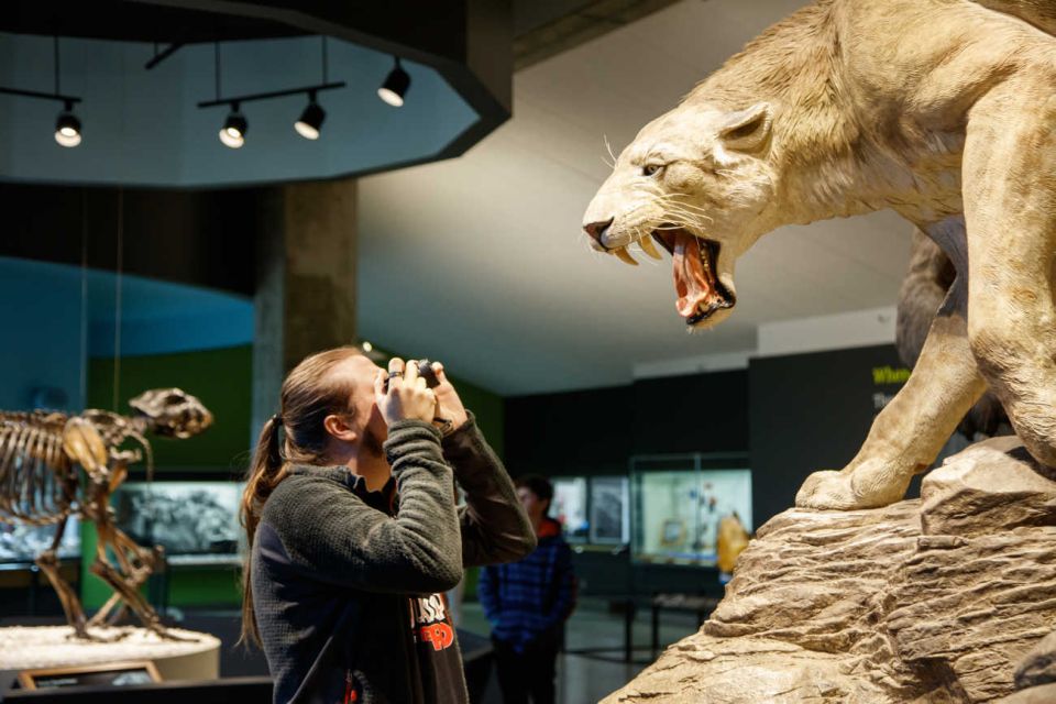 Los Angeles: La Brea Tar Pits Museum Ticket - Price and value: what $18 buys you (and what’s extra)