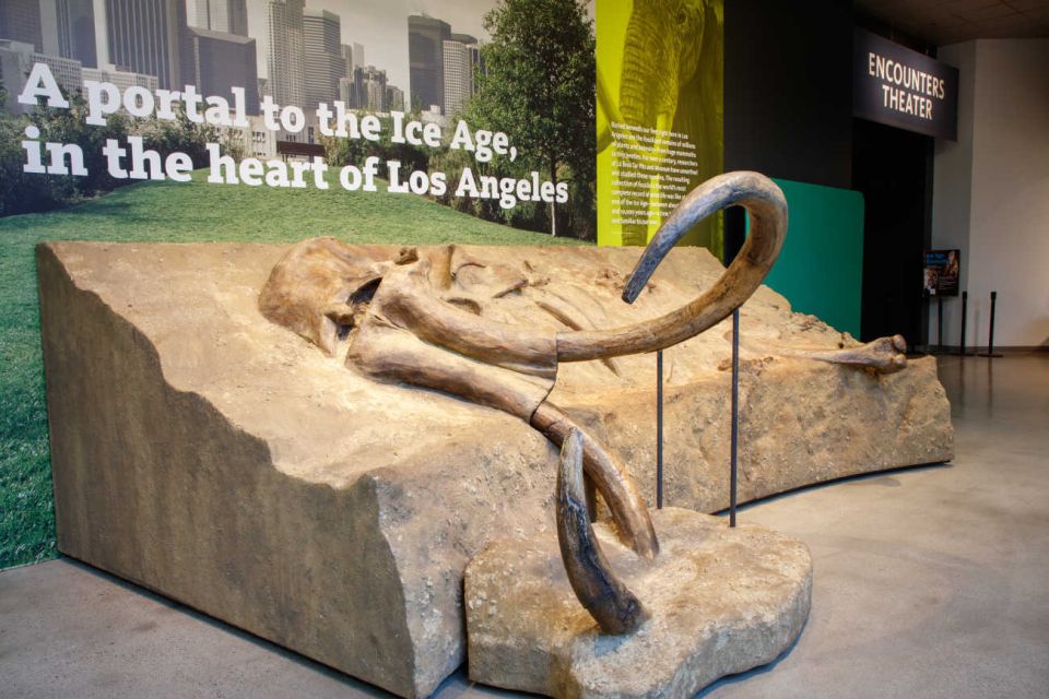 Los Angeles: La Brea Tar Pits Museum Ticket - What to expect for families, adults, and curious first-timers