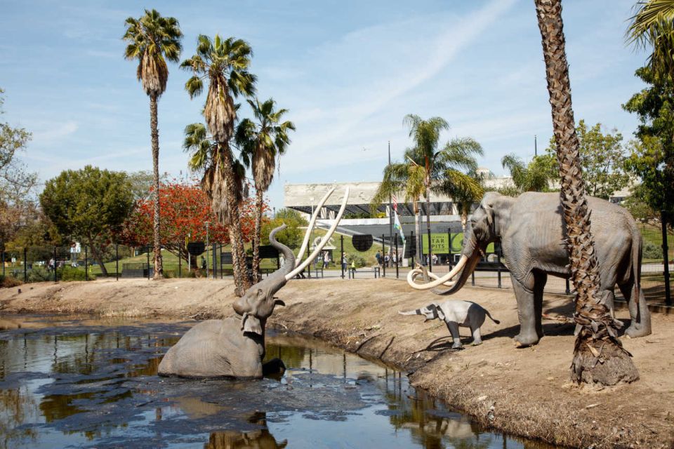 Los Angeles: La Brea Tar Pits Museum Ticket - Pit 91 and the bubbling tar: where the Ice Age becomes physical