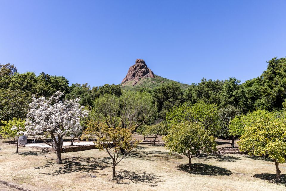 Malibu: Guided Vineyard Hike with Photo Stops and Wine - Ranch “secret stop” break: rest, conversation, and possible extra sips