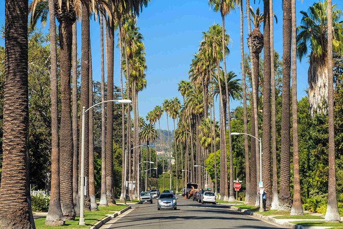 Private 5-Hour Limo Tour of Los Angeles and Beach Cities - The on-board bar: included drinks that change the vibe